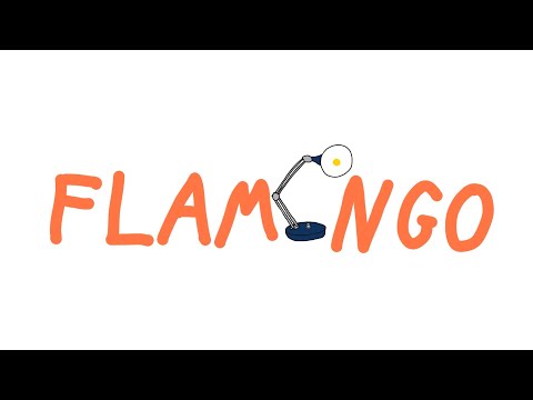 Flamingo Animator Video
