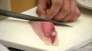 鯛のさばき方  Sea Bream Sashimi