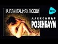 Александр Розенбаум - На плантациях любви (Альбом 1996) 