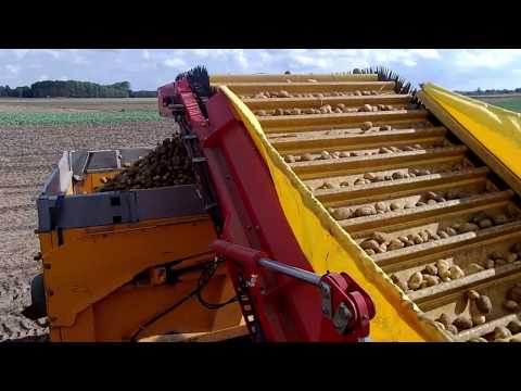 Wykopki odc. 2 Pyrki na całego, Sąsiady kontra My C-360 vs New H T7 HD Nowy nabytek Grimme i Joskin