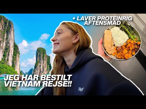 HIIT WORKOUT, VIETNAM SNAK, NYT VLOGGING KAMERA & NEM SUND AFTENSMAD *vlog*