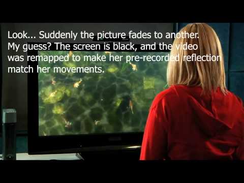 Project Natal (Kinect) - Milo is fake