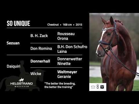 So Unique by Sezuan/Donnerhall - open house 2018