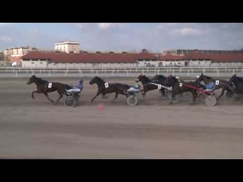 2017.03.11. 3. futam - ÁRNYÉK HENDIKEP