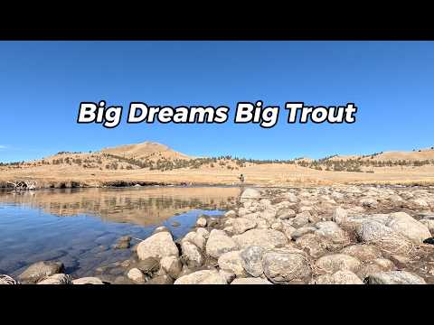 Fly Fishing Dream Stream Winter River Report - South Platte