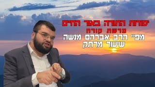 פרשת השבוע קורח שיעור מרתק  | הרב אברהם מנשה |  שידור חי (הרב מיכאל לסרי) - התמונה מוצגת ישירות מתוך אתר האינטרנט יוטיוב. זכויות היוצרים בתמונה שייכות ליוצרה. קישור קרדיט למקור התוכן נמצא בתוך דף הסרטון
