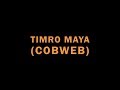 TIMRO MAYA (COBWEB)