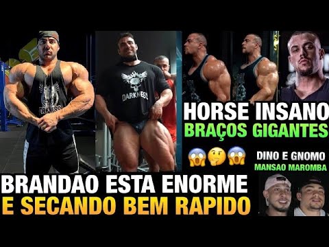 BRANDÃO ESTÁ ENORME - HORSE ASSUSTA COM BRAÇOS GIGANTES - RAMON E GNOMO NA MANSÃO MAROMBA E MAIS