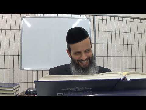 לכל חי רצון 2