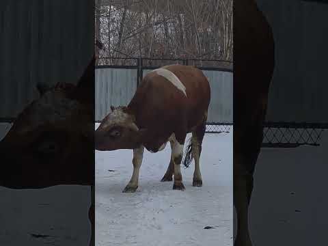 23 січня 2026 р.