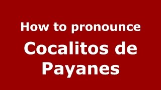 How to pronounce Cocalitos De Payanes