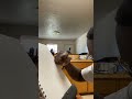 IMG 0047