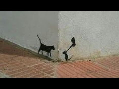 The dogs!! || samit singh #animals #animallover #dogs #viral