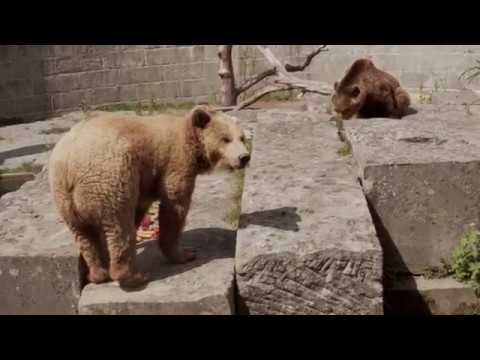 EIN MERCI FÜR DIE MUTZENPOWER