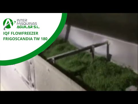 IQF Flowfreezer Frigoscandia TW 180