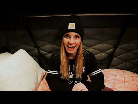 I Found Myself In The Chicken Coop! Unexpected Inspection