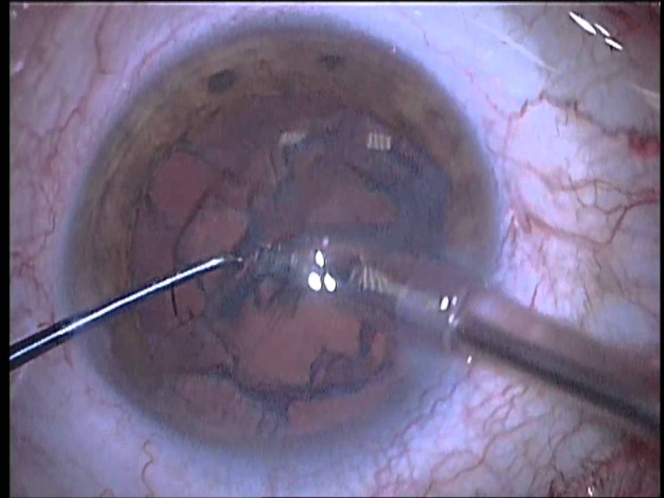 Jaime Campello Lluch-11