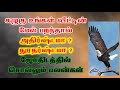 கழுகு உங்கள் வீட்டின் மேல் பறந்தால் �