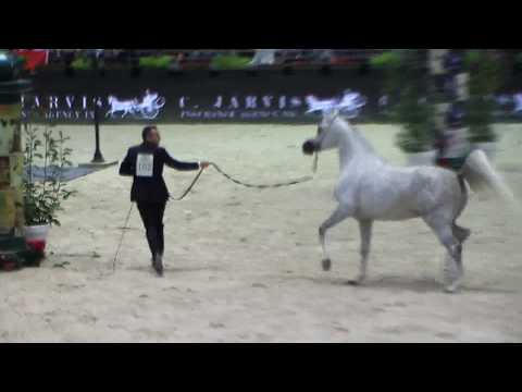 Memories of Paris 2017 - Part 8 - Junior Male Championship