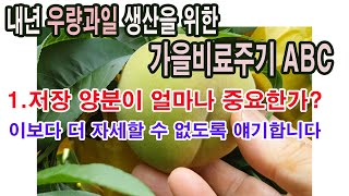 내년 우량과일 생산을 위한 첫걸음 가을비료 주기 ABC. 1.저장 양분 얼마나 중요한가? 이보다 더 쉽고 자…