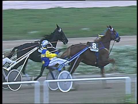 Trotto 11/10/2016 - 4ª corsa