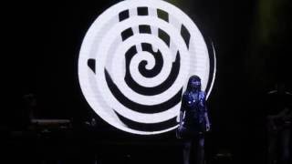 Laberintos Amaral Plaza de Toros de Valencia 28/5/2016