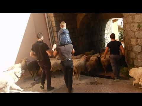 Arzana ''Vivere la Transumanza in Ogliastra-Sardegna''