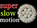 momos folding tips for beginners in super slow motion 😊 you can fold best momos after watching
