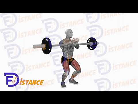 Exercice Squats Zercher avec barre