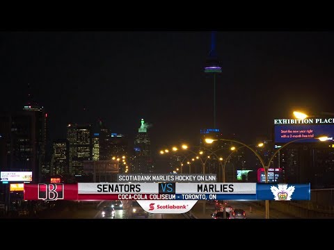 Senators vs. Marlies | Feb. 5, 2019