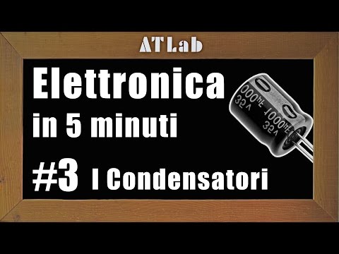 Che guidare vermi a conigli I vermi non sono partiti dopo un proparafango