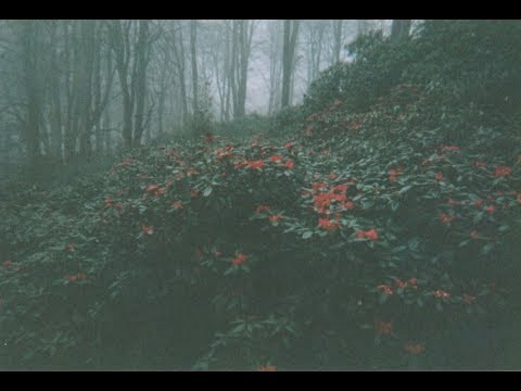 Rock Solid - Doing Fine [Legendado/Tradução]