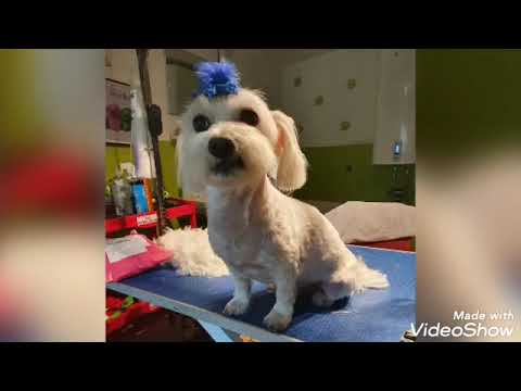 Mit Lebertumor weiter leben...