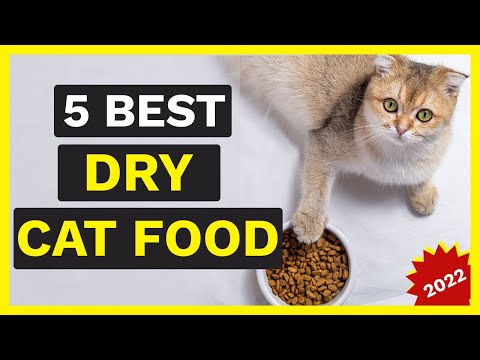 Best Dry Cat Foods | 5 Best Dry Cat Foods 2022 🐱✅