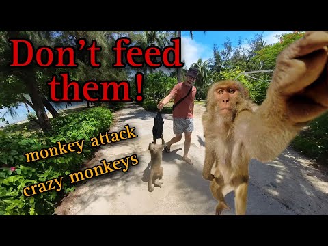 🇻🇳 Exploring Monkey Island Vietnam  [Vietnam Travel Videos]