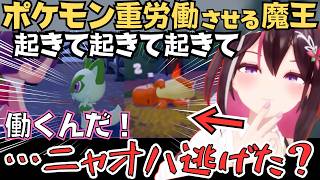 寝てるポケモンを叩き起こしたり逃げられたりするあずきちのぽこあポケモンが面白すぎたw【AZKi ホロライブ／切り抜き】