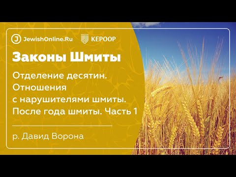 Законы шмиты. Урок 21. Отделение десятин. Отношения с нарушителями шмиты. После года шмиты