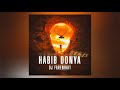 DJ Farenhait - Habib (Donya Remix)