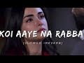 Zindagi Ch Koi Aaye Na Rabba Lofi Song Slowedandreverb Viralvideo