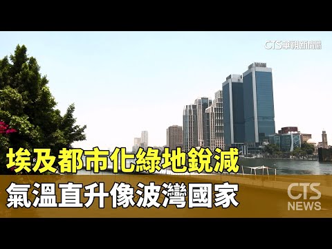 埃及都市化綠地銳減　氣溫直升像波灣國家