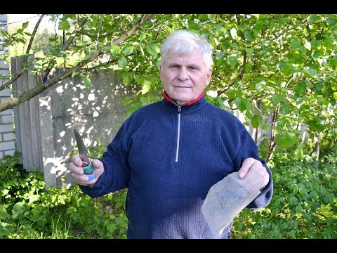 Прививка деревьев в расщеп / Показываю мои результаты весенней прививки
