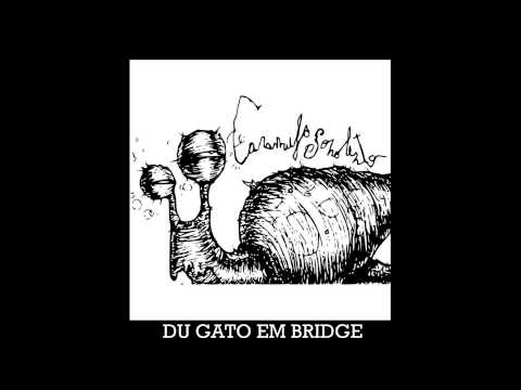 Video thumbnail for Du Gato em Bridge