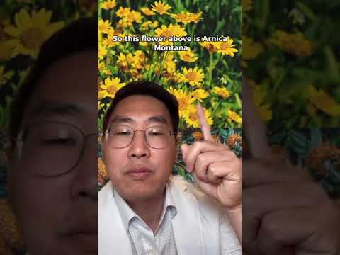 Arnica and Bromelain After Plastic Surgery | Plastic Surgery Aftercare | Post Plastic Surgery