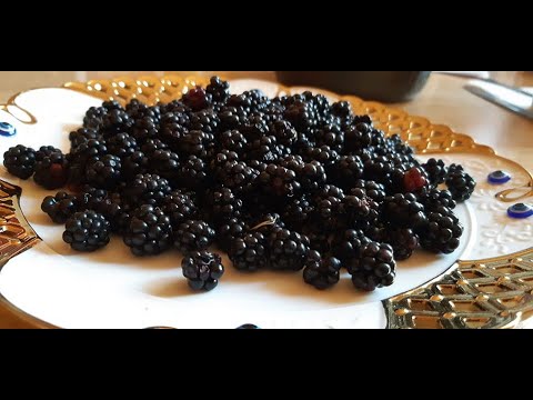 FRUITS With THORNS  HARD TO HARVEST  BUT LIBRE LANG BLACKBERRIES BÀD VOSLAU