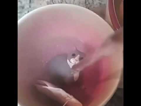 YouTube Thumbnail