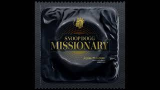 Snoop Dogg - Now Or Never ft. Dr. Dre and BJ the Chicago Kid (Official Audio)