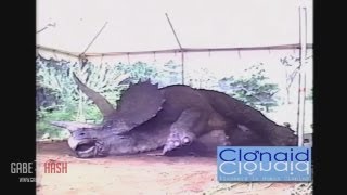 ¿MUERE EL PRIMER DINOSAURIO CLONADO? 23 DE SEPTIEMBRE 2013 (EXPLICACIÓN)