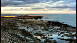 Robyn Hitchcock - Be Still (Radio Edit)