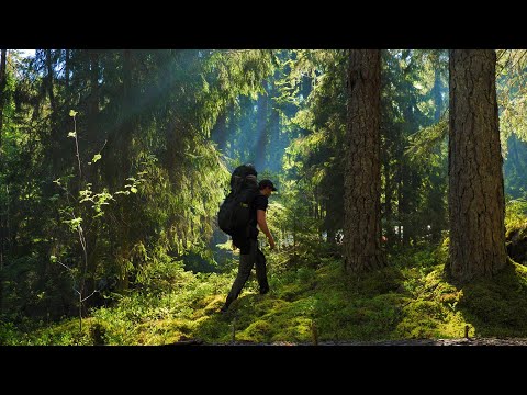 Solo Hiking Sörmlandsleden Trail (Sweden)