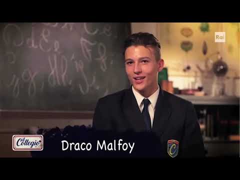 YTP: Le parolaccie della professoressa della Petolicchio